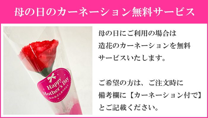 母の日カーネーション無料サービス