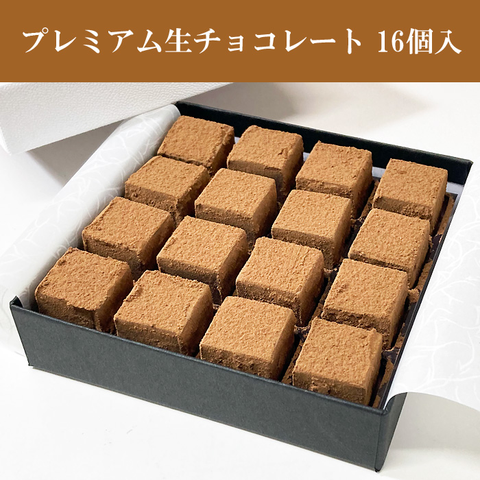 プレミアム生チョコレート16個入り