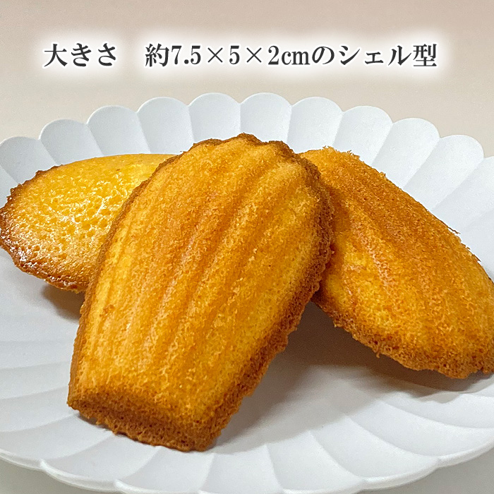 王様のマドレーヌ大きさ入